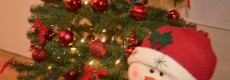Natal 2010