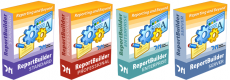 ReportBuilder